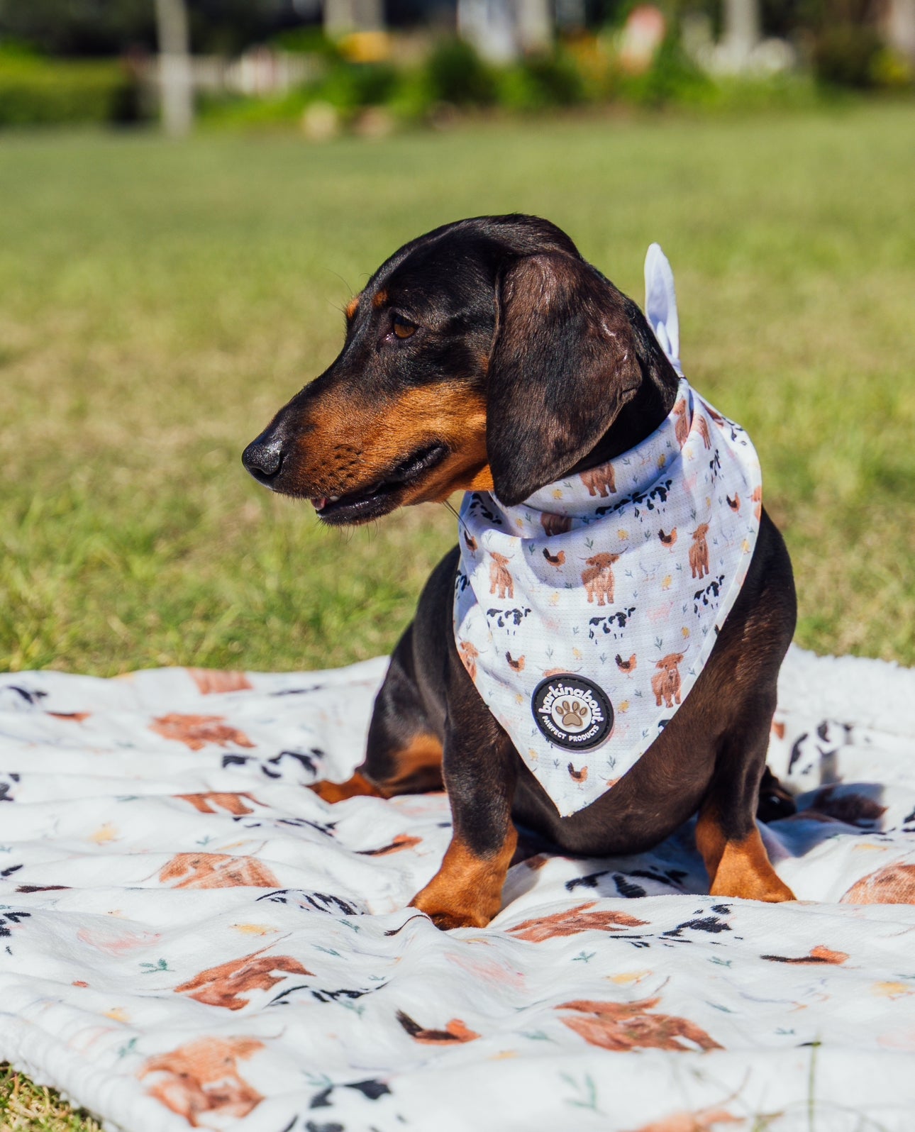 Barn to be wild: Bandana