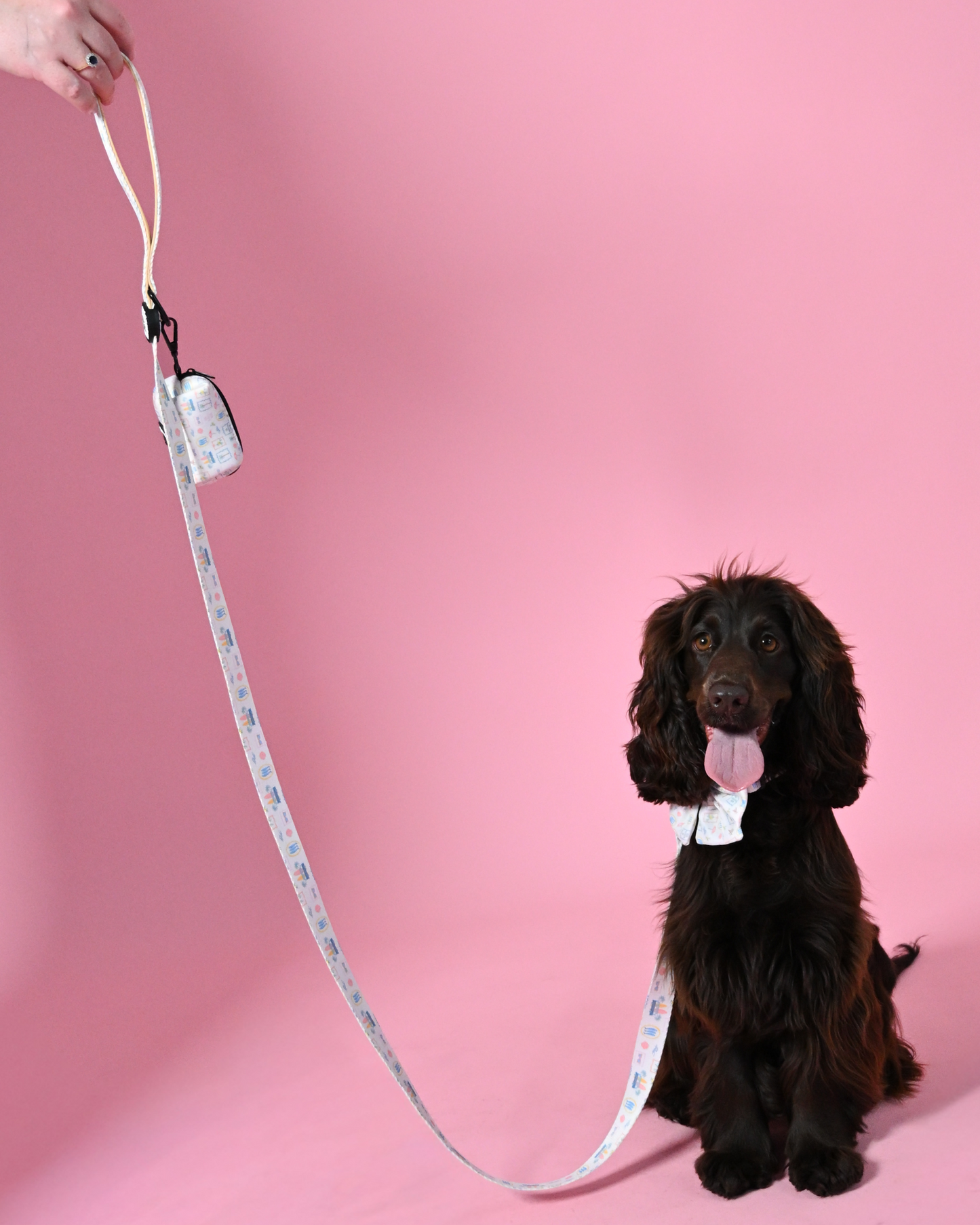 La Barkin Vita Leash