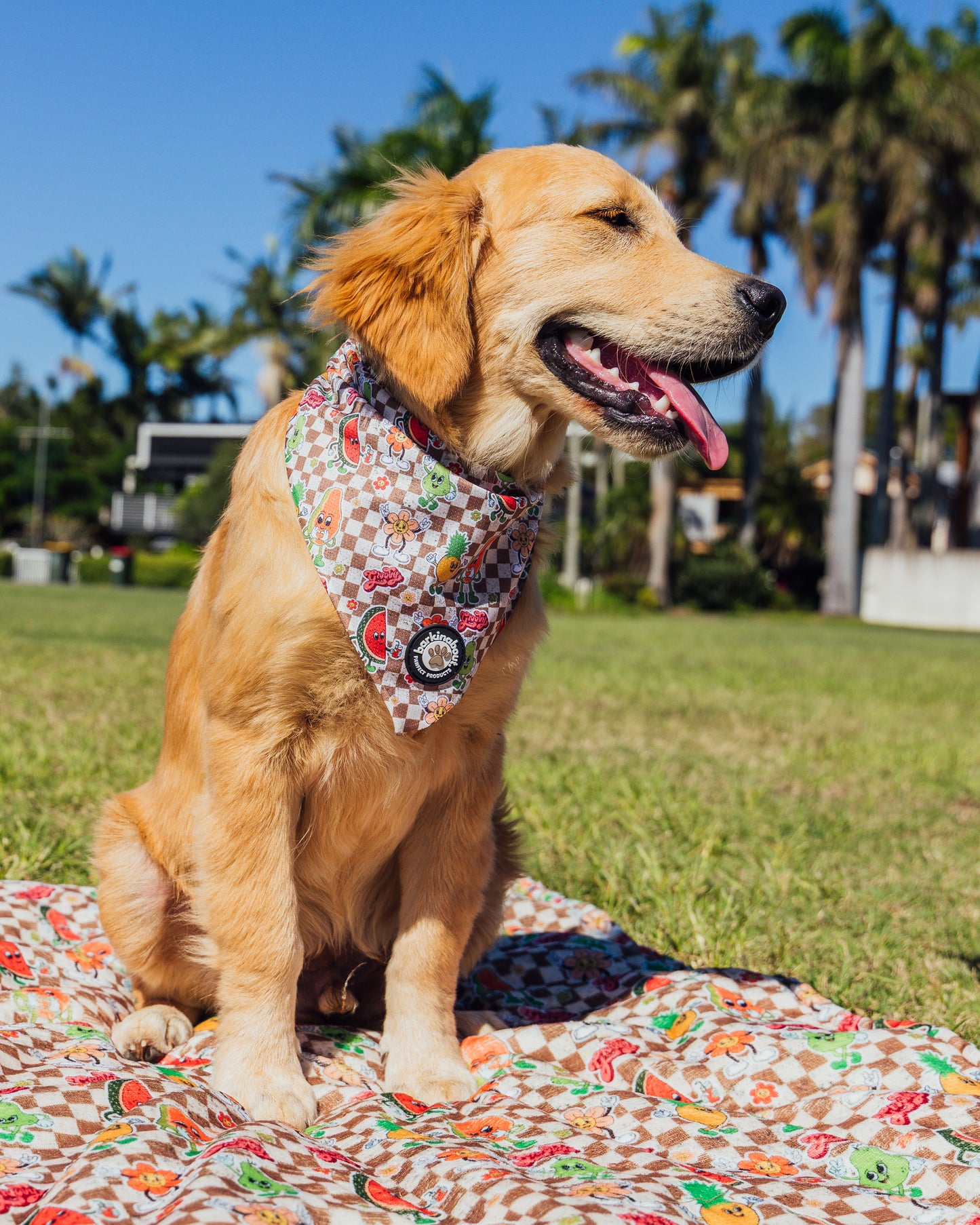 Retro Fruits: Bandana