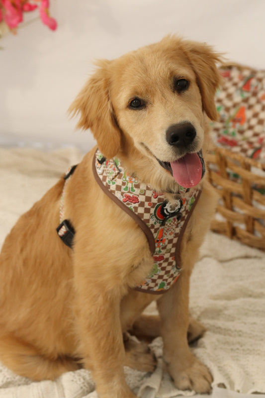 Retro Fruits: Adjustable Harness