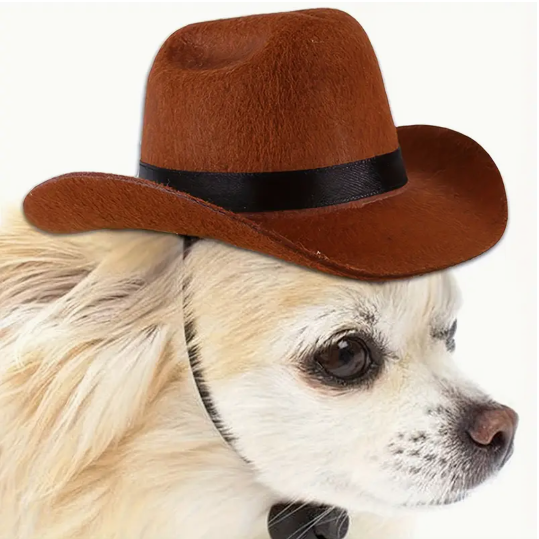 Dog Cowboy Hat