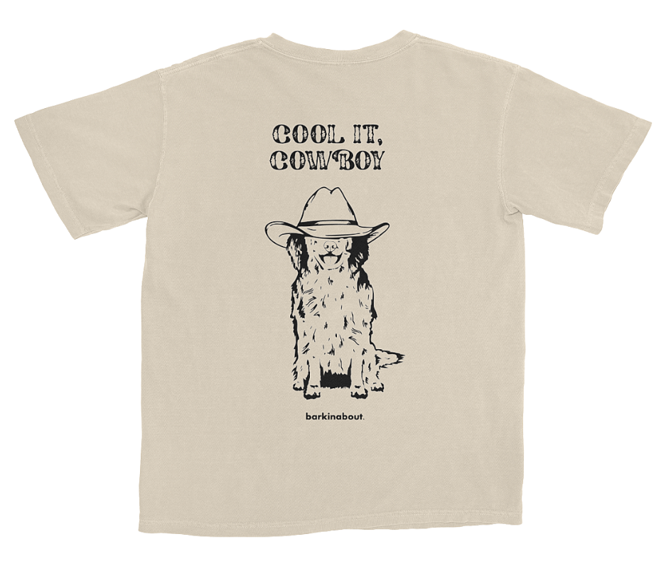 Cool It Cowboy: Women's Cropped Tee
