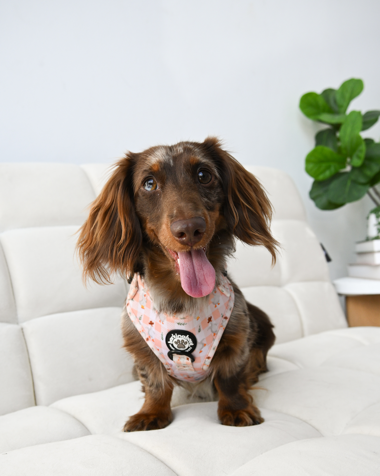 Silly Goose - Adjustable Harness