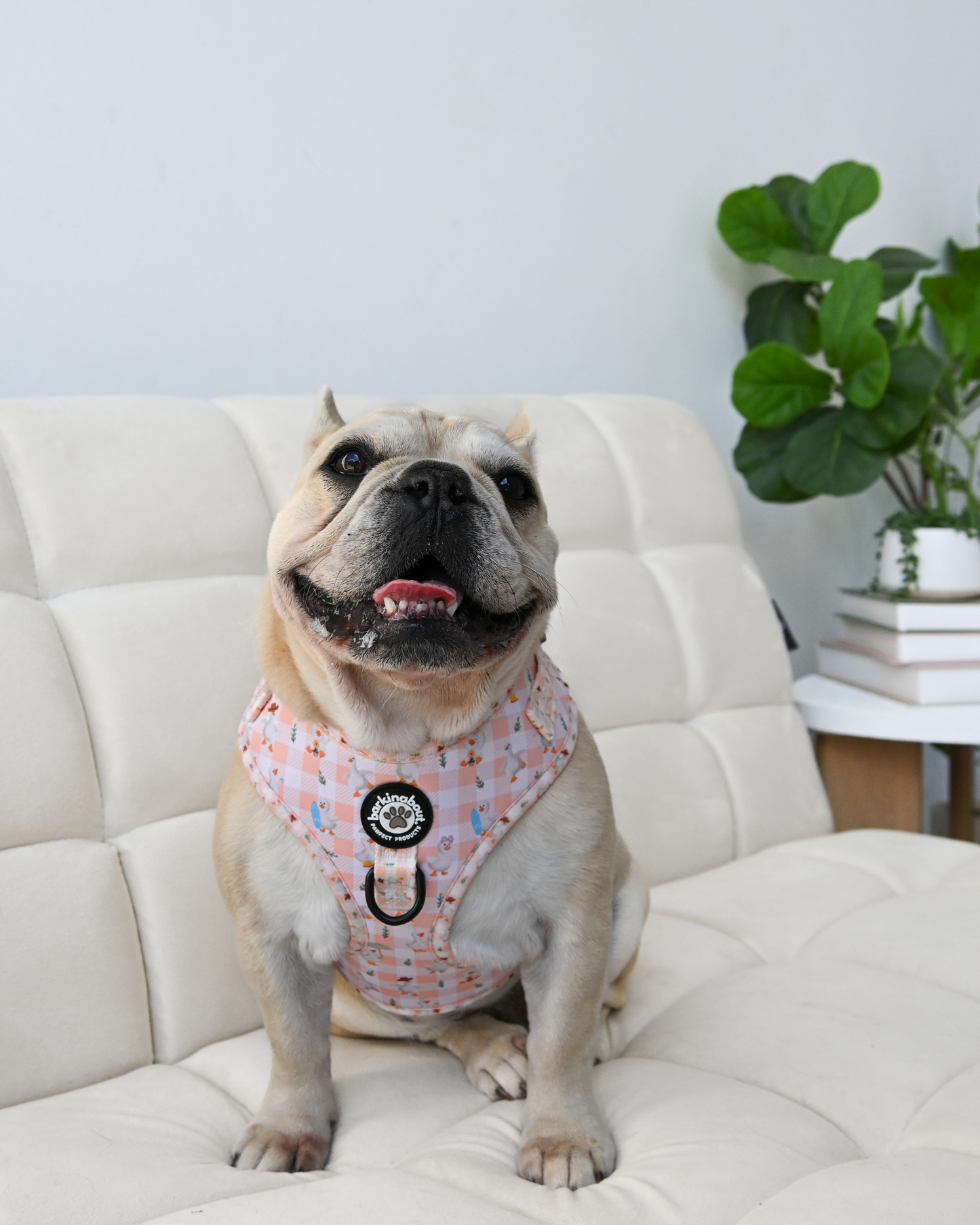 Silly Goose - Adjustable Harness