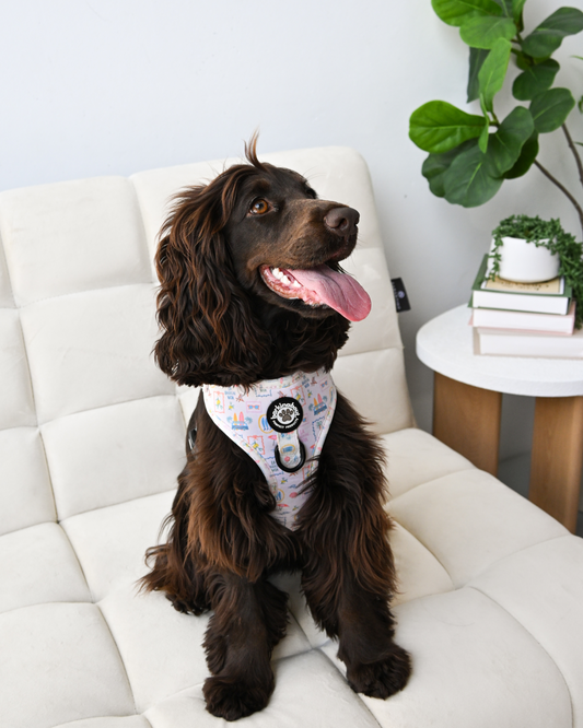 La Barkin Vita - Adjustable Harness