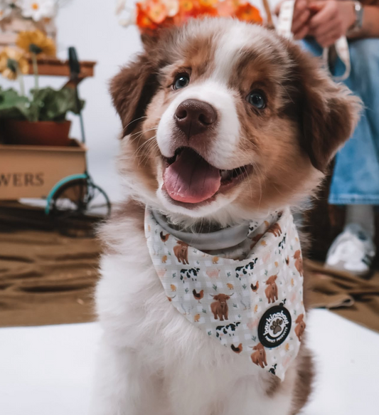 Barn to be wild: Bandana