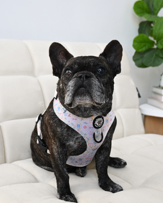 La Barkin Vita - Adjustable Harness