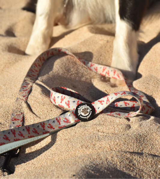 You're My Lobster: Leash