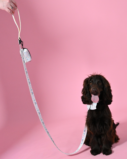 La Barkin Vita Leash