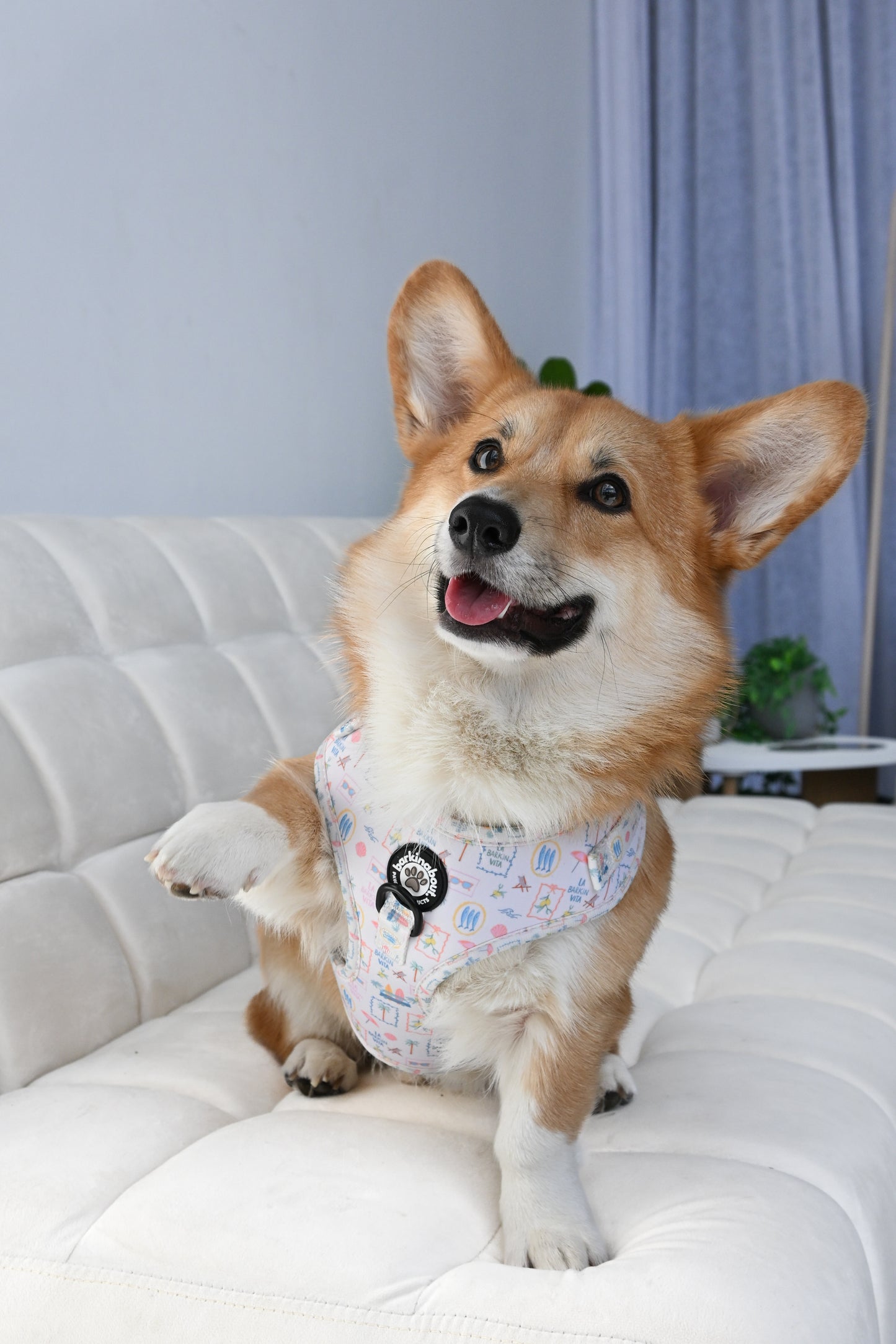 La Barkin Vita - Adjustable Harness