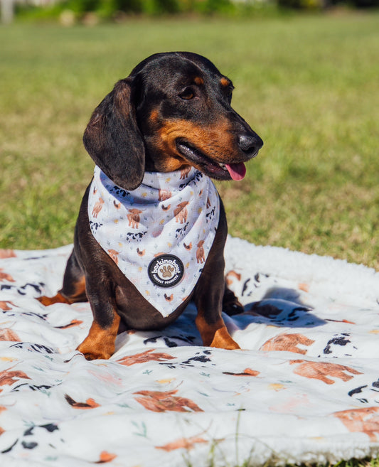 Barn to be wild: Dog Blanket