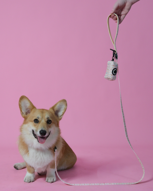Silly Goose Leash