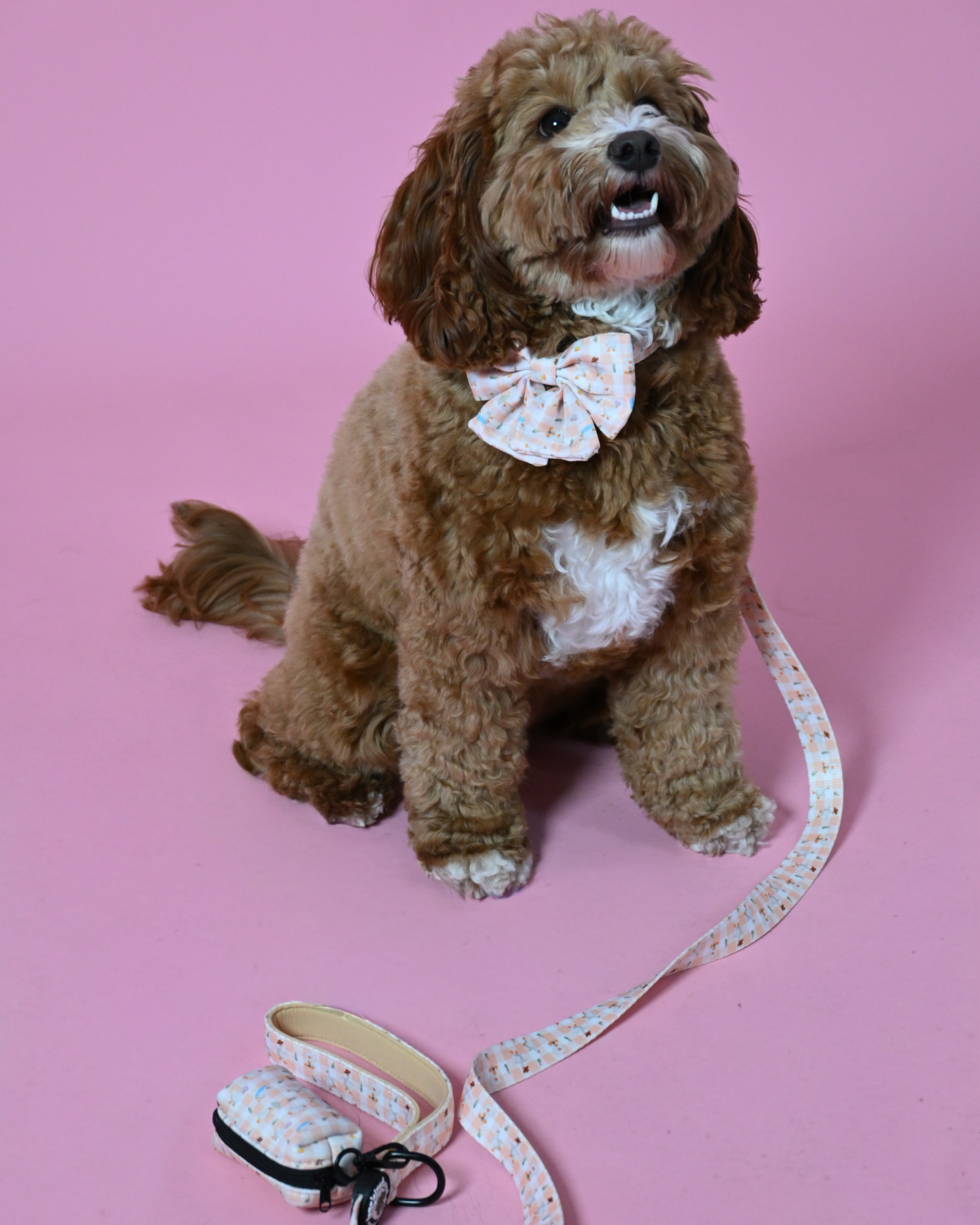 Silly Goose Poop Bag