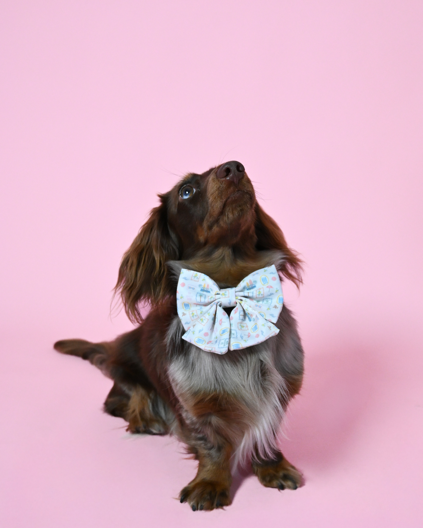 La Barkin Vita Sailor Bow