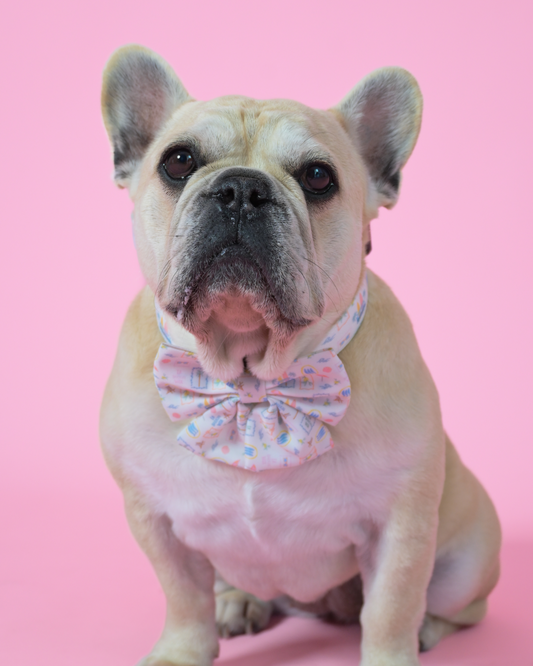 La Barkin Vita Sailor Bow