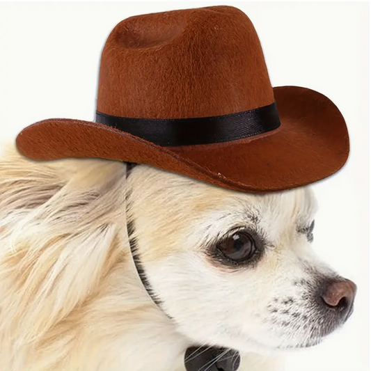 Dog Cowboy Hat